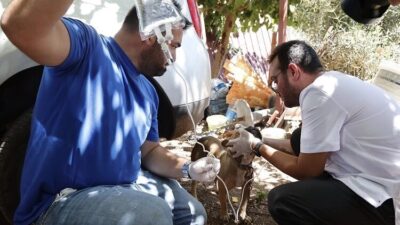 Antalya Büyükşehir Belediyesi, Kumluca’nın Yazır Mahallesi’nde meydana gelen yangının yaralarını
