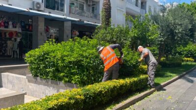 Antalya Büyükşehir Belediyesi Park ve Bahçeler Dairesi Başkanlığı ekipleri, Kemer’in