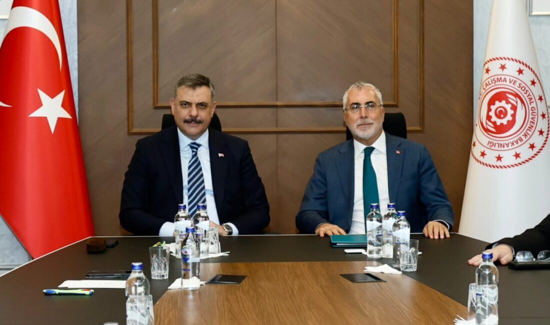 İçişleri Bakanı Mustafa Çiftçi, Çalışma ve Sosyal Güvenlik Bakanı Vedat