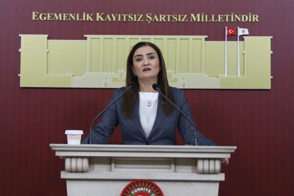 CHP Grup Başkanvekili Sevda Erdan Kılıç, Milli Dayanışma ve Toplumsal
