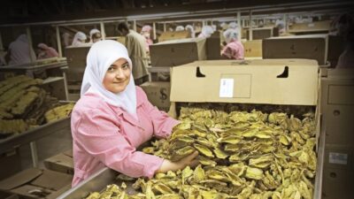 Ege İhracatçı Birlikleri temmuz ayında ihracatını yüzde 7’lik artışla 1