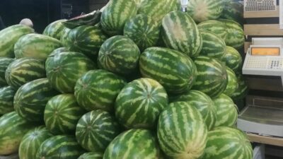 Tarım Ürünleri Üretici Fiyat Endeksi (Tarım-ÜFE), Temmuz ayında yıllık yüzde