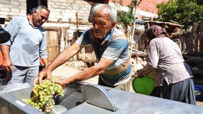 Antalya Büyükşehir Belediyesi, Elmalı ilçesinde üzüm üretimi yapan çiftçilere hasat