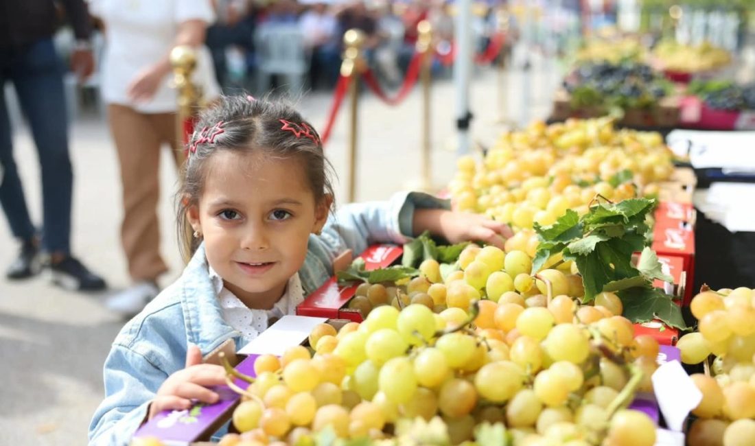 Bursa'da 12. Osmangazi Karabalçık Üzüm Festivali’nde üreticilerin emekleri ödüllendirilirken, Osmangazi