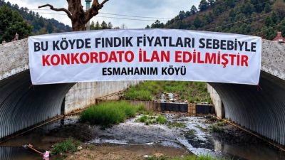 Düzce'nin Akçakoca ilçesi Esmahanım Köyü'nde üreticiler, fındık fiyatlarının düşüklüğü ve