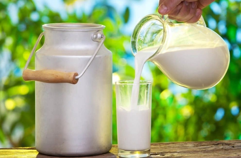 Tarım ve Orman Bakanı İbrahim Yumaklı, içme sütlerine ilişkin yeni