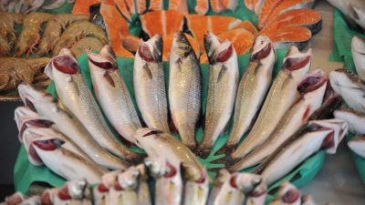 Su ürünleri sektörü Future Fish Eurasia’da buluşuyor Türkiye’nin su ürünleri alanındaki tek ihtisas fuarı Future Fish Eurasia