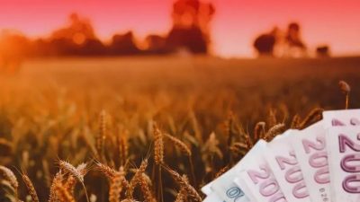 Toprak Mahsulleri Ofisi (TMO), 20 Ağustos-1 Eylül 2026 döneminde teslim
