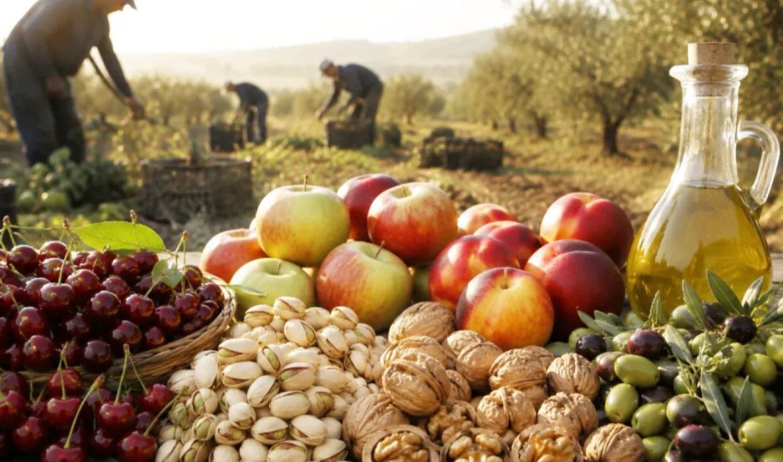 2026’da zeytin ve meyve üretiminde büyük artış bekleniyor TÜİK’in 2026 yılı Bitkisel Üretim 2. Tahmini verilerine göre meyve