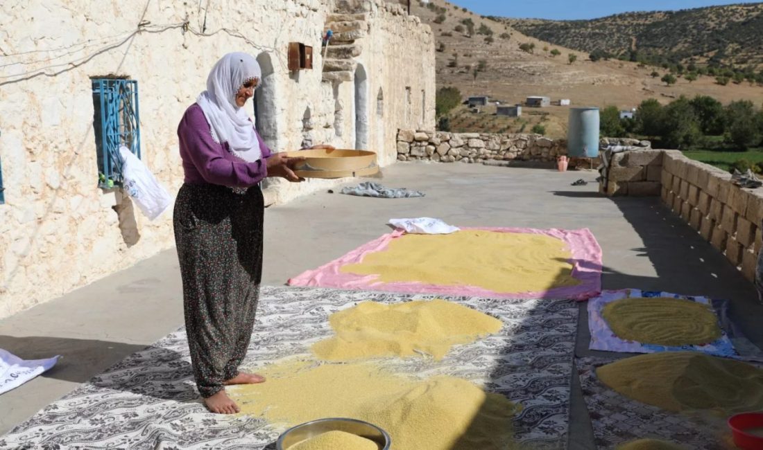 7 bin yıllık tarihin gölgesinde bir sonbahar masalı Buram buram tarih kokan kadim coğrafya Mardin’in Yeşilli ilçesine bağlı