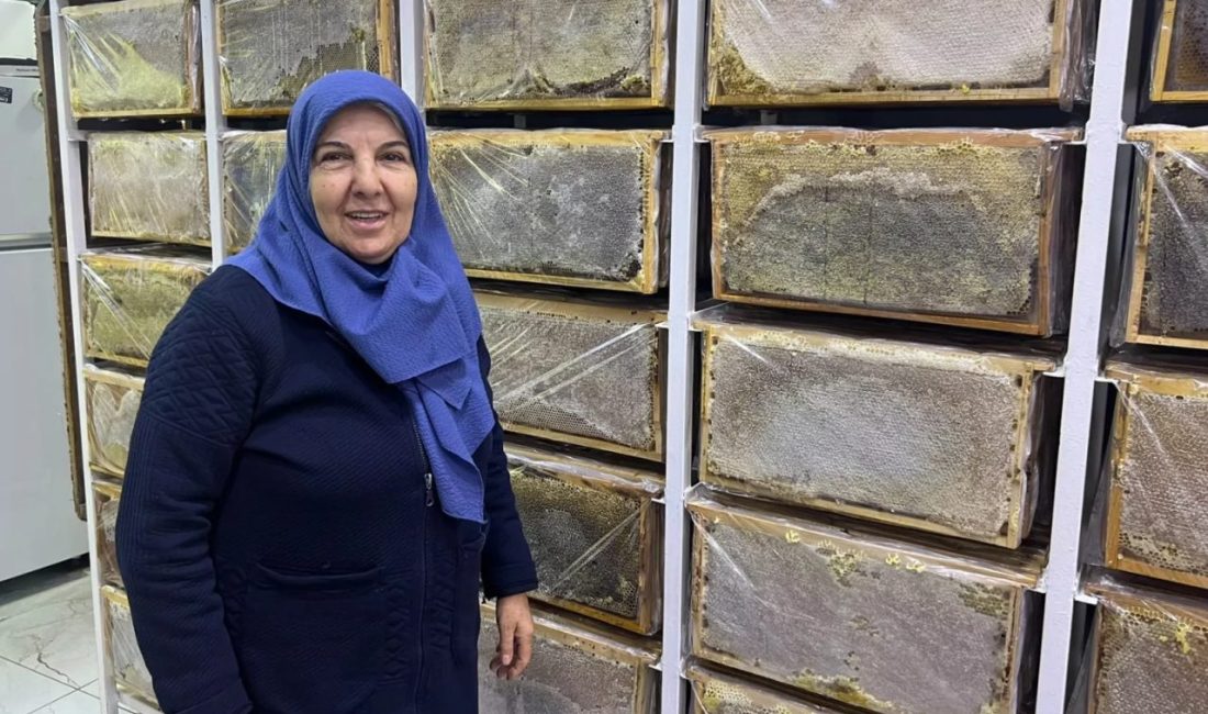 Ağrı’da hava sıcaklıklarının düşmesiyle arıcılıkta kış dönemi başladı. Aladağ Balı