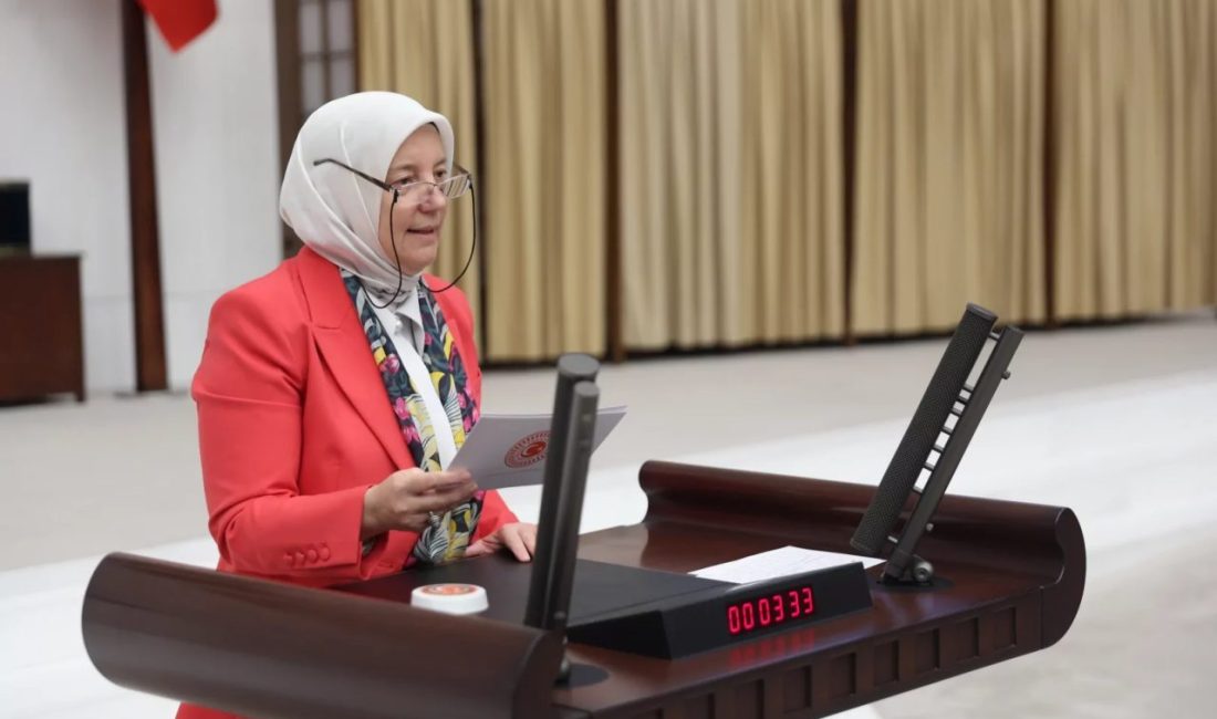 AK Partili Gözgeç: Kadın çiftçiler ülkemizin kalkınmasında önemli rol oynuyor TBMM'de konuşan Adalet Komisyonu Sözcüsü AK Parti Bursa Milletvekili Av.