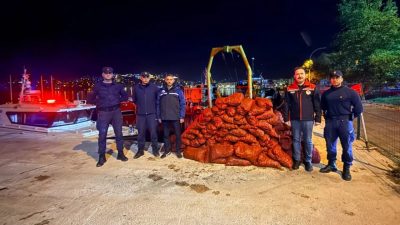 Bursa'nın Gemlik ilçesi Kumsaz mevkiinde yapılan denetimlerde ele geçirilen canlı