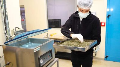 Kocaeli Büyükşehir Belediyesi’nin tarımsal kalkınma çalışmaları kapsamında desteklediği tıbbi ve